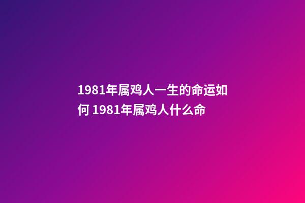 1981年属鸡人一生的命运如何 1981年属鸡人什么命-第1张-观点-玄机派